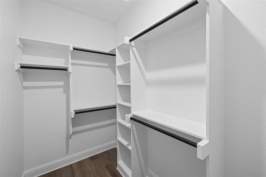 Walk in closet featuring dark wood-type flooring