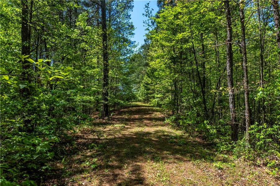 Natural landscape and outdoor views near  in Talking Rock (Image 53).