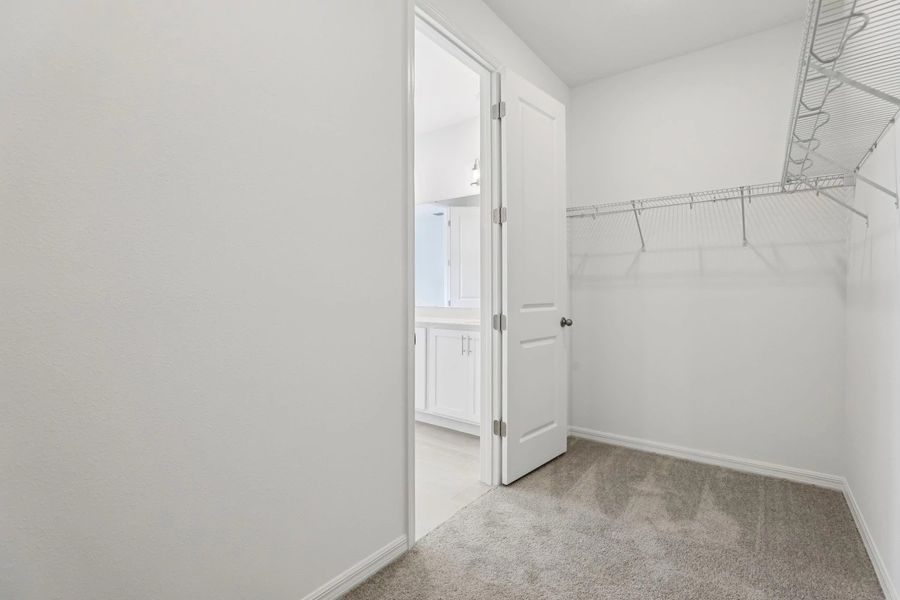 Primary Closet