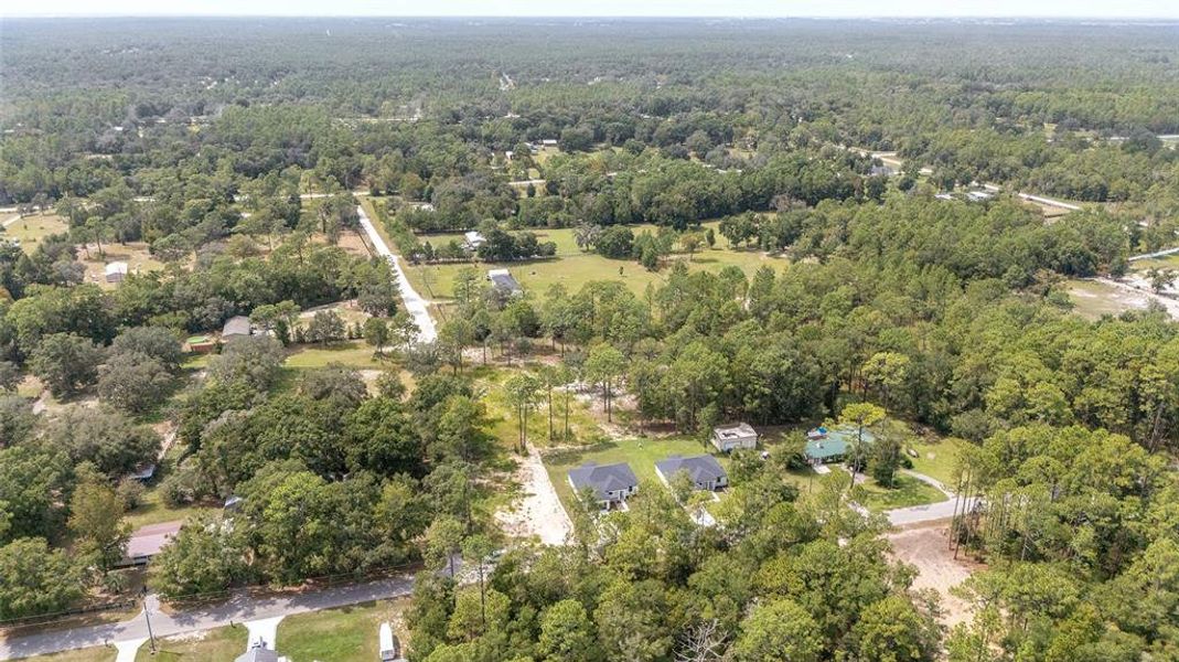 Natural landscape and outdoor views near  in Ocala (Image 43).