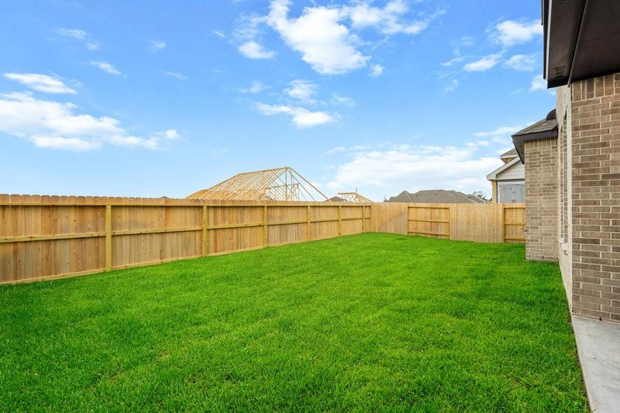 Backyard