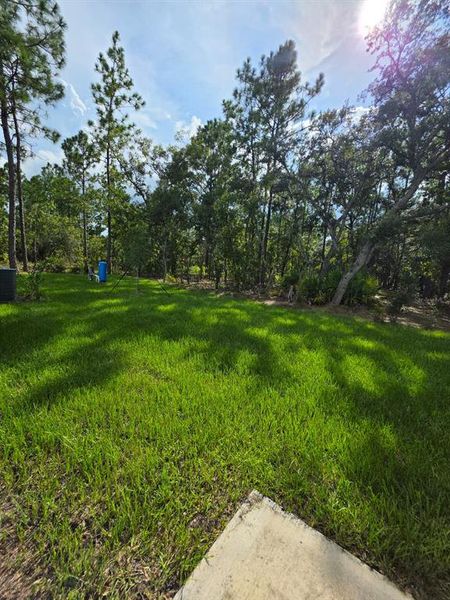 Natural landscape and outdoor views near  in Ocala (Image 21).