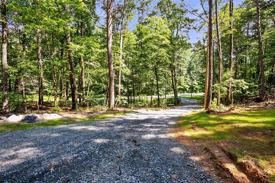 Natural landscape and outdoor views near  in Ellijay (Image 30).