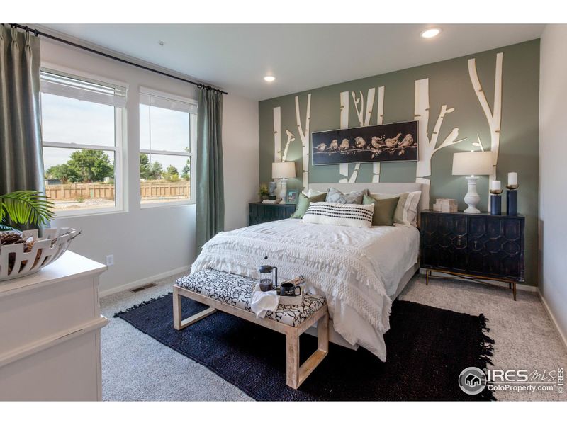 EXAMPLE PHOTO: MASTER BEDROOM