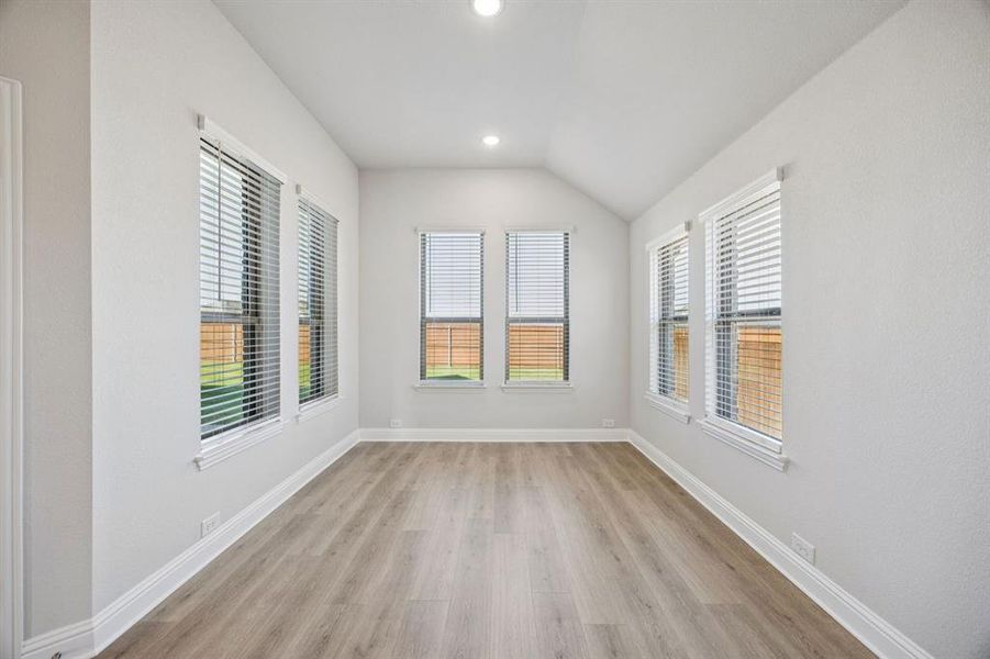 5-3713Blooming_011 5-3713Blooming_011