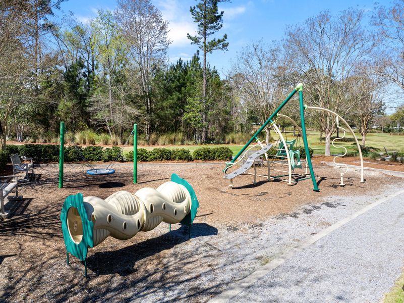 Community amenities in Sweetgrass at Summers Corner, Summerville (Image 46).