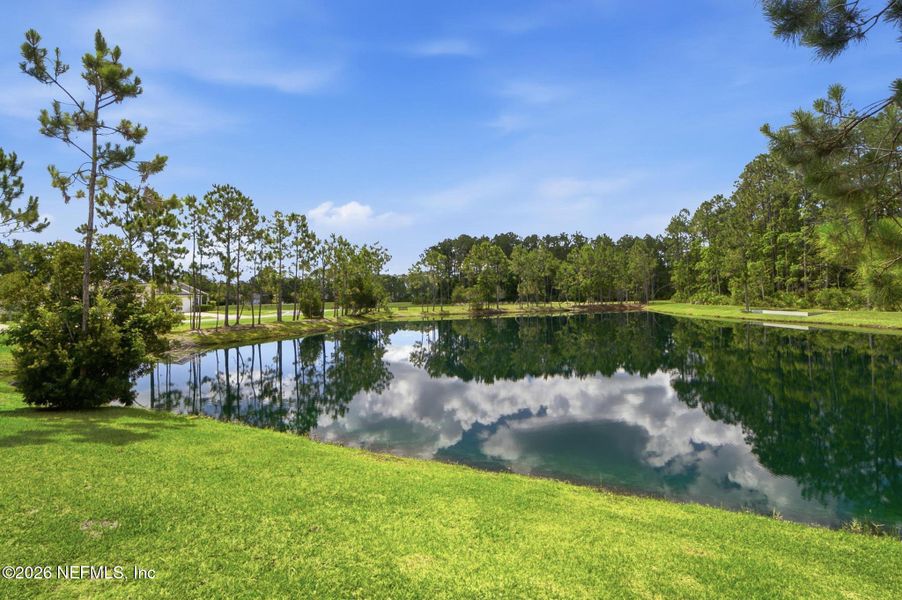 Natural landscape and outdoor views near  in Bunnell (Image 34).
