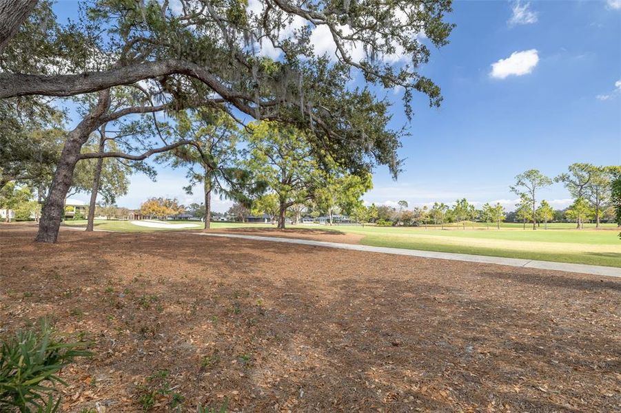 Natural landscape and outdoor views near  in Belleair (Image 46).