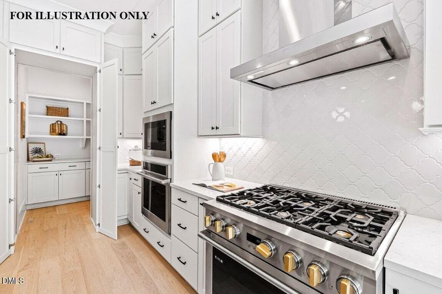 FOR ILLUSTRATION ONLY (48)