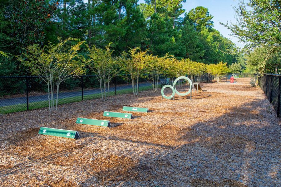 Community amenities in Carnes Crossroads, Summerville (Image 60).