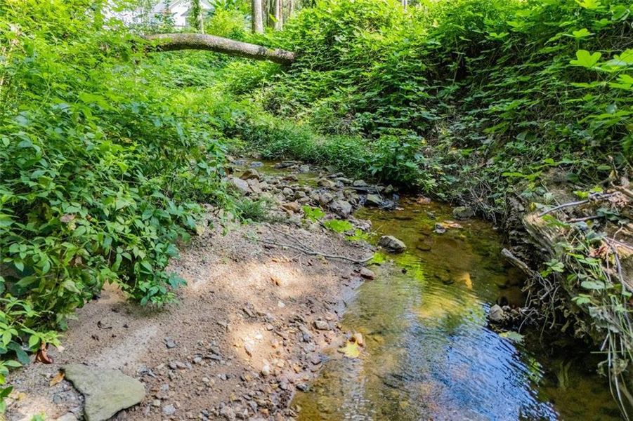Natural landscape and outdoor views near  in Bowdon (Image 28).