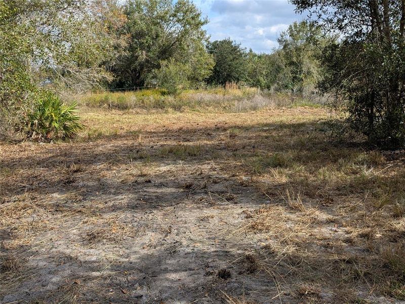 Natural landscape and outdoor views near  in Arcadia (Image 31).