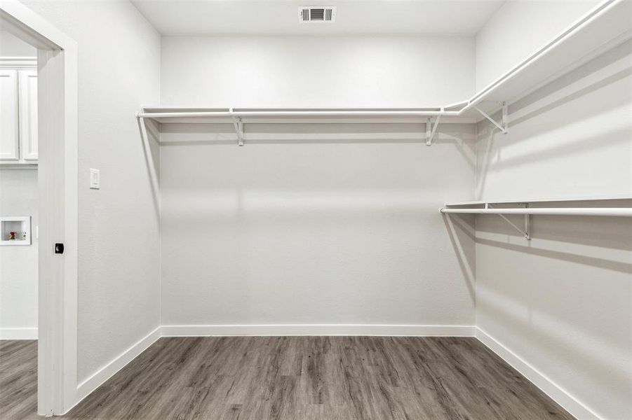 Primary Walk in closet with dark wood-type flooring