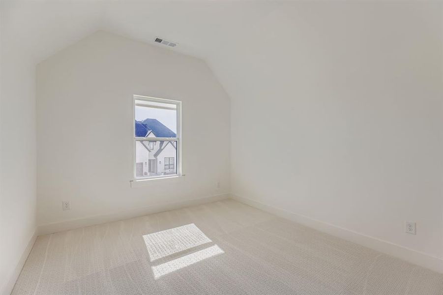 Additional living space featuring carpet and vaulted ceiling