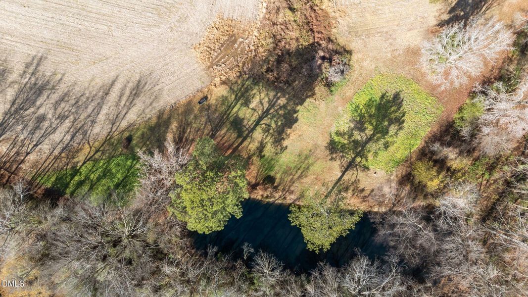 30-web-or-mls-DJI_20251203114506_0053_D