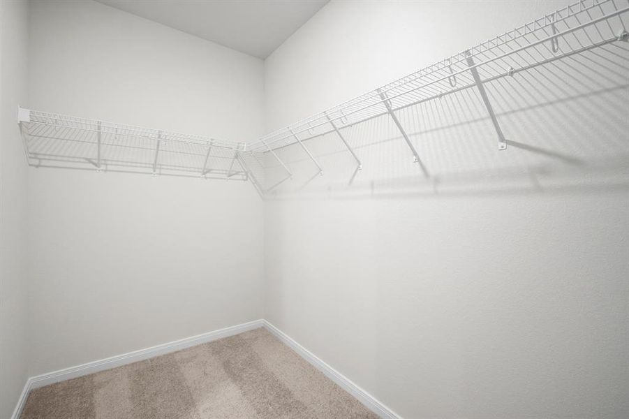 Carpeted walk-in closet.