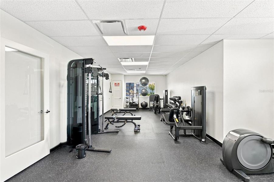 Community amenities in Central Parc, North Port (Image 33). Community amenities in Central Parc, North Port (Image 33).