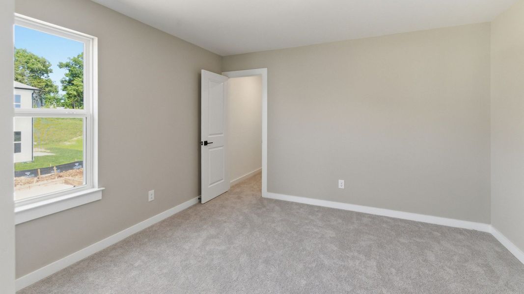 Bedroom with carpet and window Bedroom with carpet and window