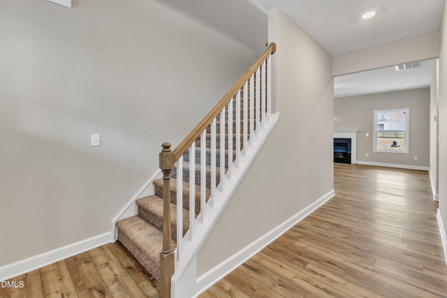 11-30 Barham Mill Pond-18 11-30 Barham Mill Pond-18