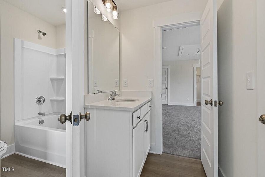 54563788911_8d48c63d56_c