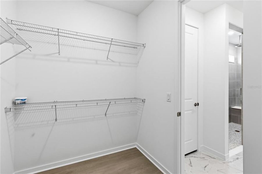 Spacious, unfurnished interior of a new home in , Riverview (Image 32).