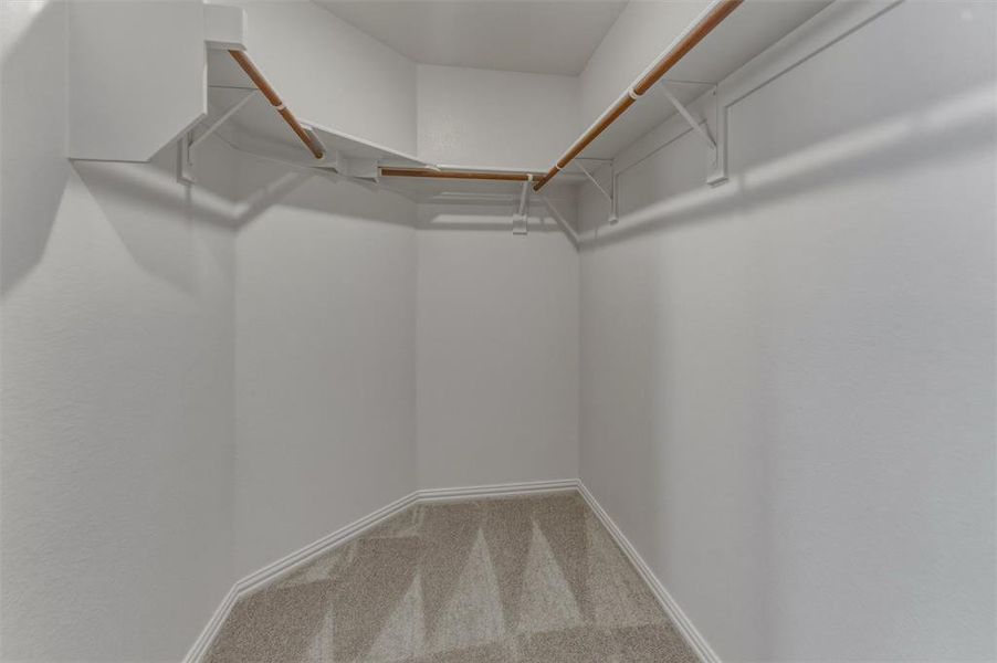 Walk-in closet featuring light-toned carpeting, white shelving, and wooden hanging rods Walk-in closet featuring light-toned carpeting, white shelving, and wooden hanging rods