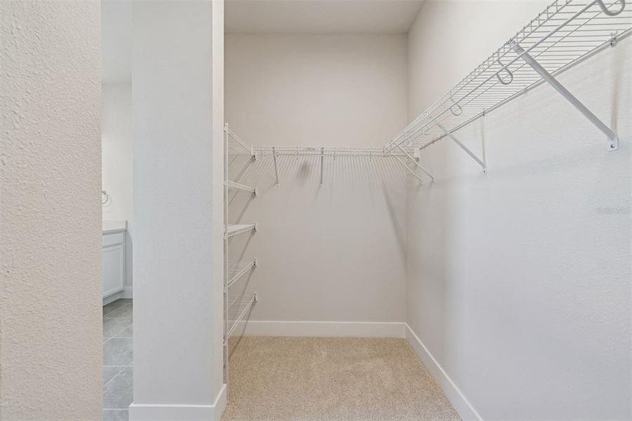 Spacious, unfurnished interior of a new home in Vistera of Venice – Garden Series, Nokomis (Image 17).