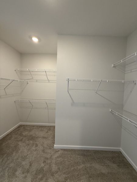 Spacious, unfurnished interior of a new home in Bradley Bend, Ashland City (Image 13).