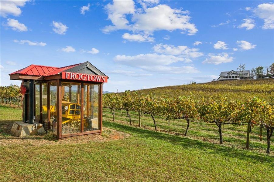 Community amenities in , Dahlonega (Image 42).