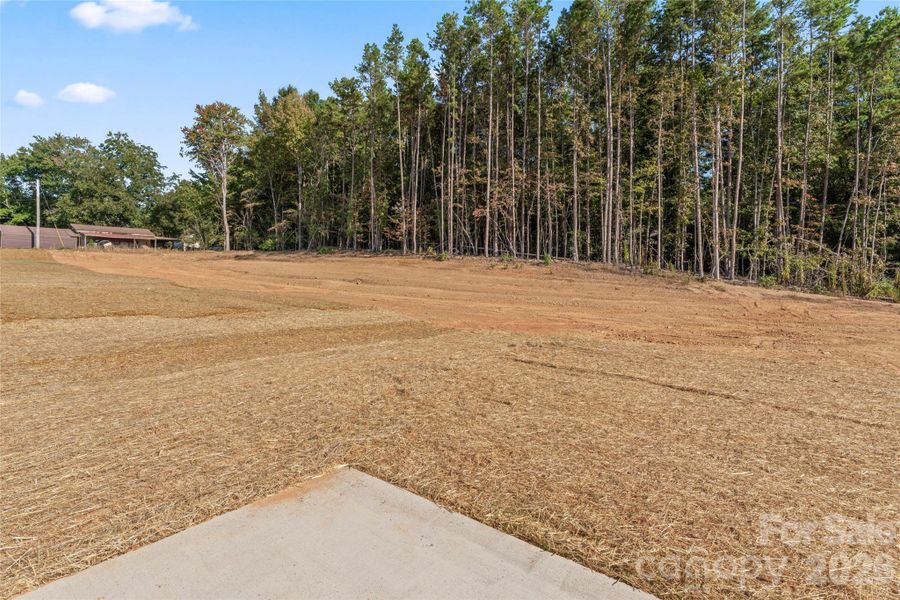 Site preparation for new homesites in , Albemarle (Image 28).