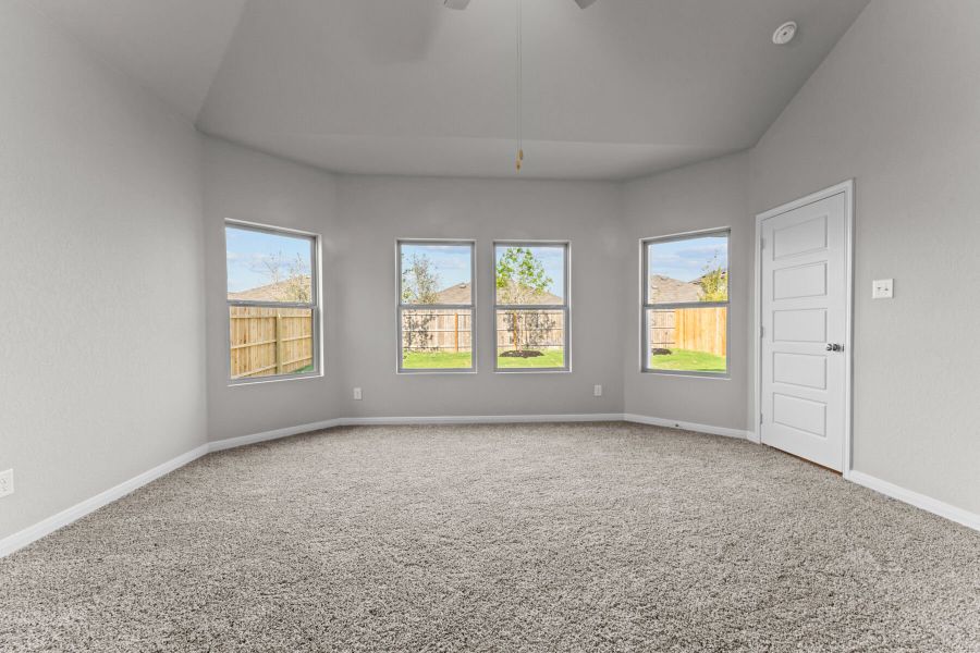 Representational Photo Representational Photo