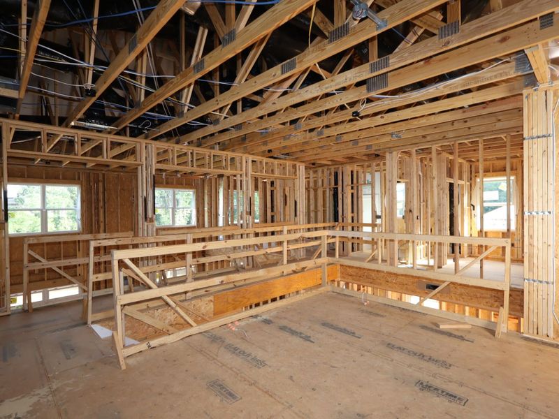 Framing Framing