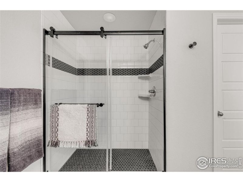 Primary Bath Walk-In Shower