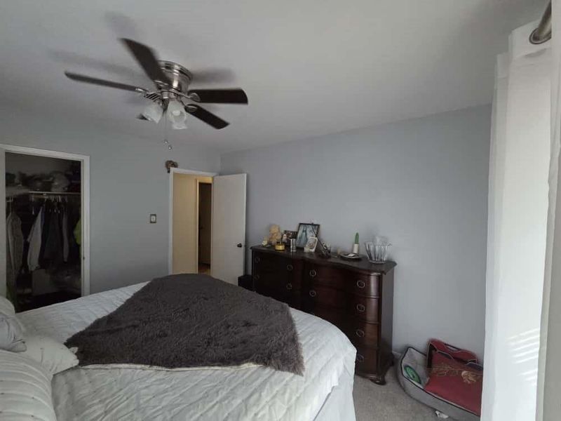 Carpeted bedroom featuring ceiling fan and a closet Carpeted bedroom featuring ceiling fan and a closet