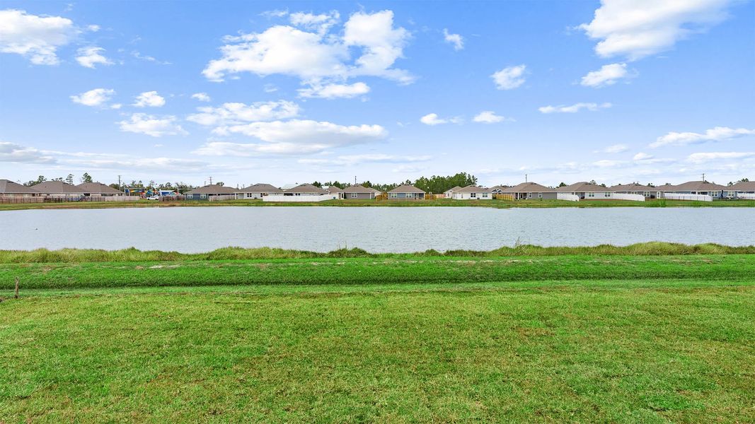 Natural landscape and outdoor views near Hodges Bayou Plantation in Panama City (Image 31).