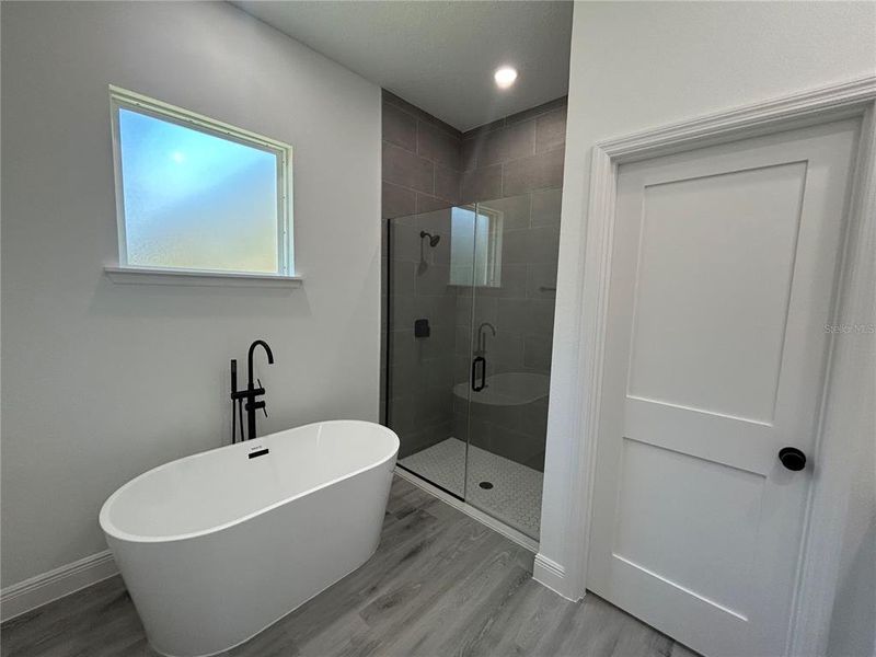 Furnished interior view inside a new home in , Ocala (Image 11).