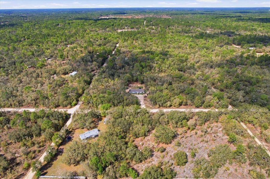 Natural landscape and outdoor views near  in Bronson (Image 39).