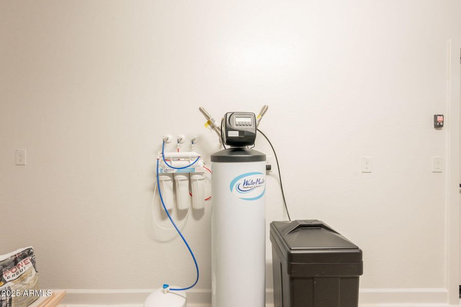 33-web-or-mls-Bittercress-33 33-web-or-mls-Bittercress-33