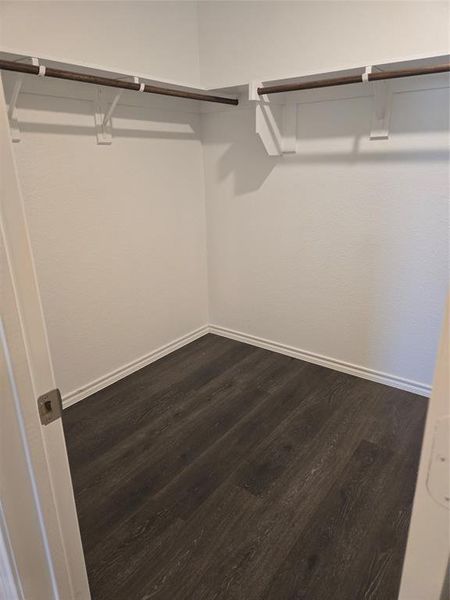 Walk in closet with hardwood / wood-style flooring