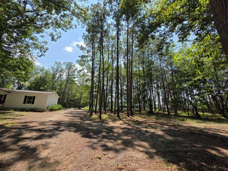 Natural landscape and outdoor views near  in Santee (Image 27).