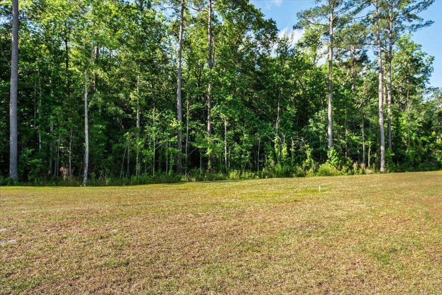 Natural landscape and outdoor views near  in Summerville (Image 39).