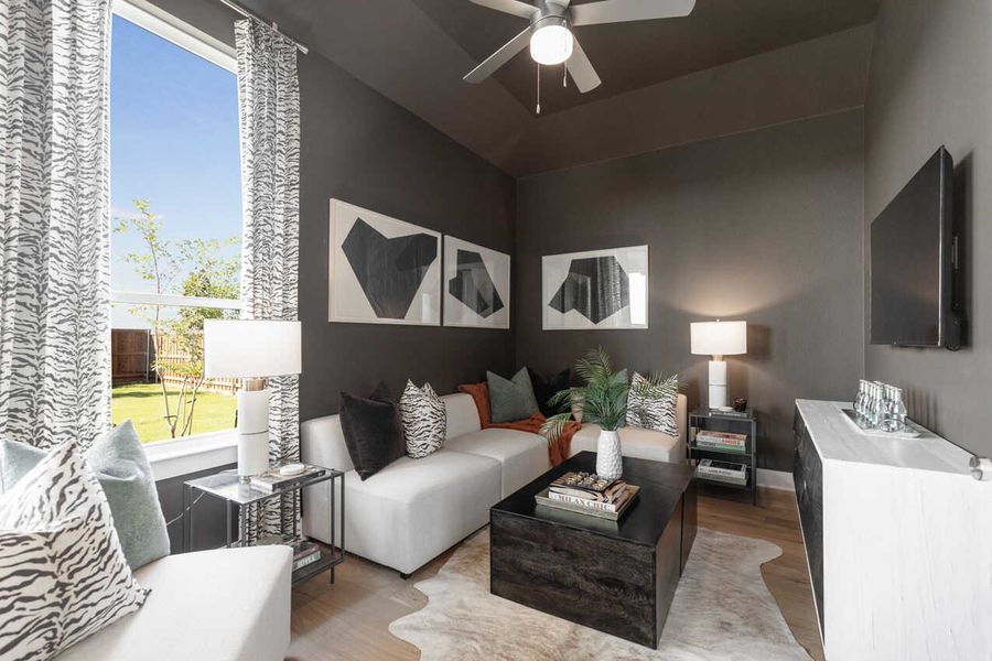 Representative Entertainment Room - some options shown Representative Entertainment Room - some options shown