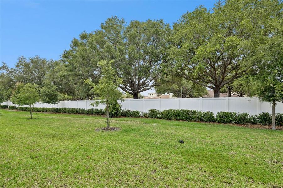 Natural landscape and outdoor views near  in Orlando (Image 31).
