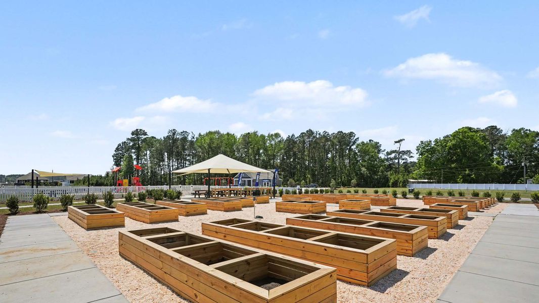 Community amenities in Winfield Farms, Myrtle Beach (Image 26).