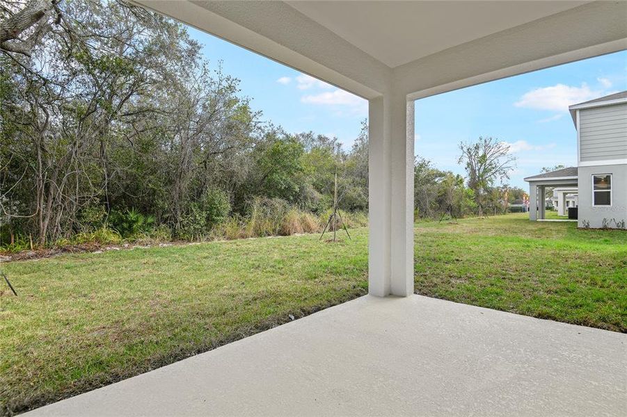 Exterior details and patio area of a home in Seasons at Summit Ridge, Apopka (Image 5).
