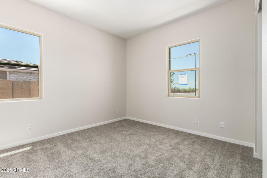 23-Hollyhock 23-Hollyhock