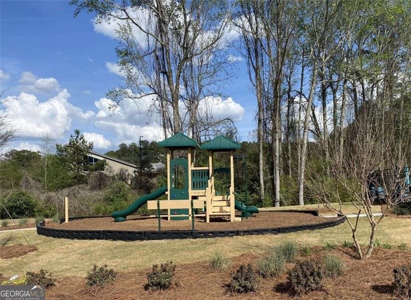 Community amenities in Carolina, Palmetto (Image 13).