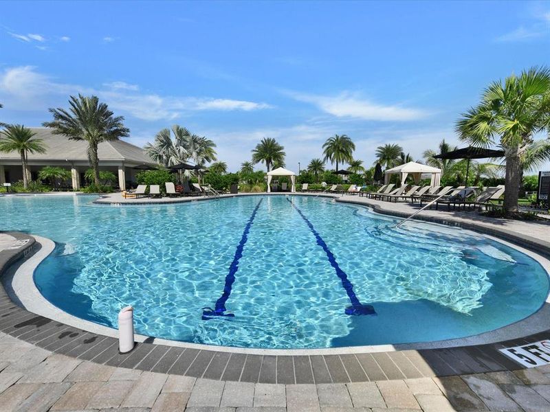 Community amenities in , Wesley Chapel (Image 67).