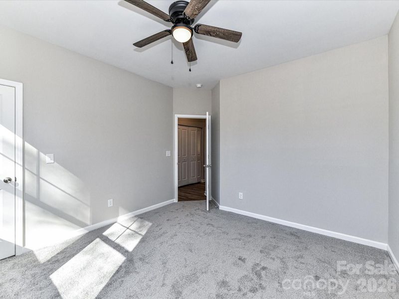 photo representation only