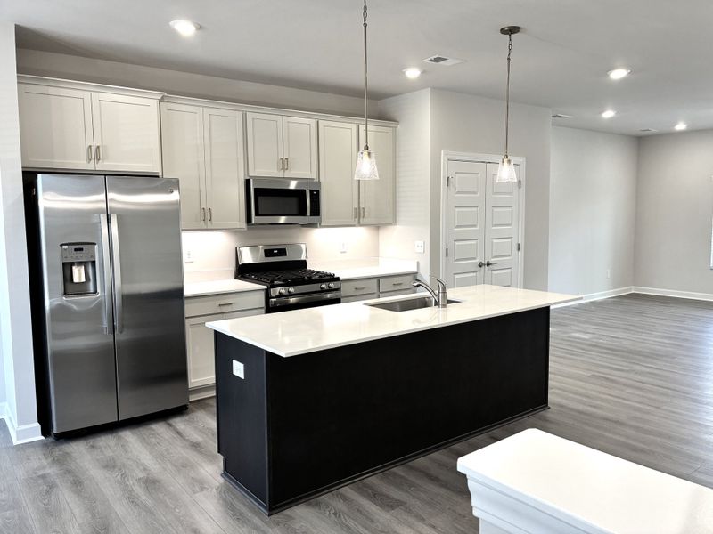 Furnished interior view inside a new home in Holly View, Greenville (Image 8).
